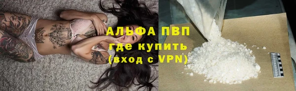 гашик Надым