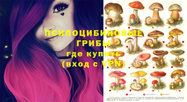 гашик Надым