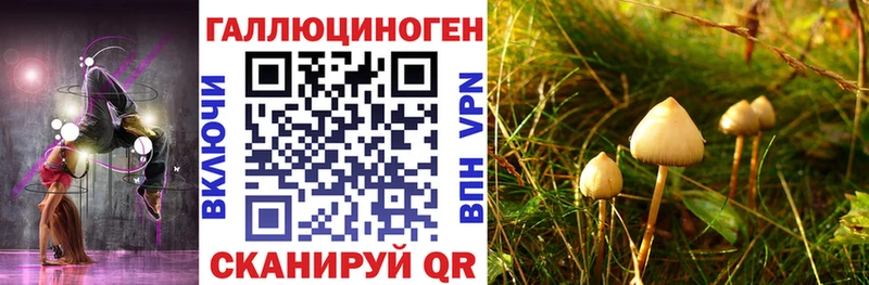 Псилоцибиновые грибы Psilocybine cubensis  Нестеровская 